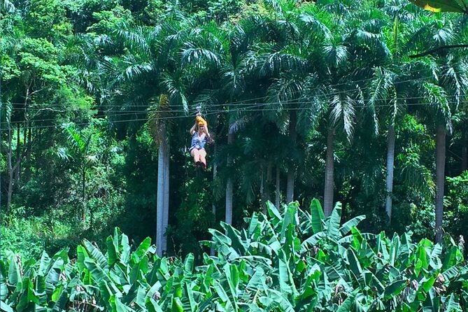 Ziplining at the Rainforest in Puerto Rico - A good fit for a half-day from San Juan