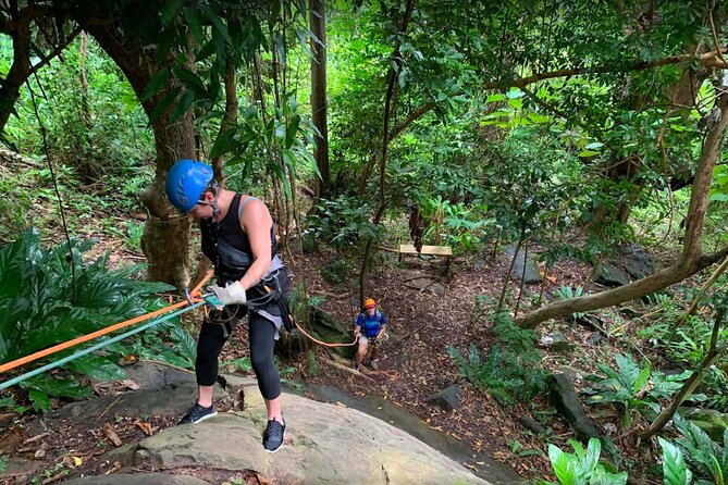 Ziplining at the Rainforest in Puerto Rico - Is $149 a fair price?