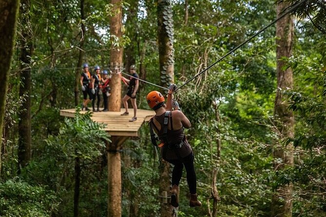 Ziplining Cape Tribulation with Treetops Adventures - Nine ziplines, suspended bridges, and the final dual line