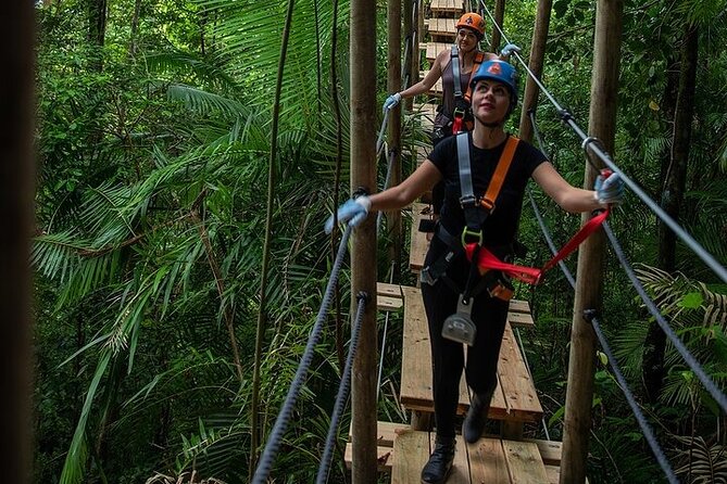 Ziplining Cape Tribulation with Treetops Adventures - A rainforest tour, not just an adrenaline stop