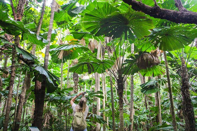 Ziplining Cape Tribulation with Treetops Adventures - Rain can change the mood, not necessarily the fun
