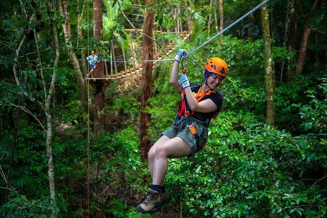Ziplining Cape Tribulation with Treetops Adventures - What happens from the 3922 Cape Tribulation Road meeting point