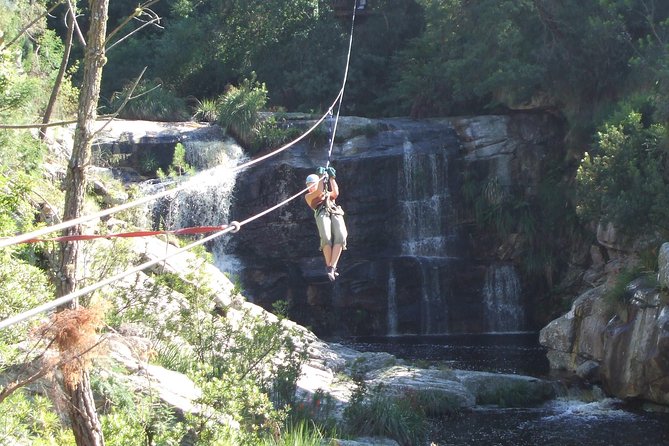 Ziplining Elgin - Eleven ziplines with changing views along the gorge